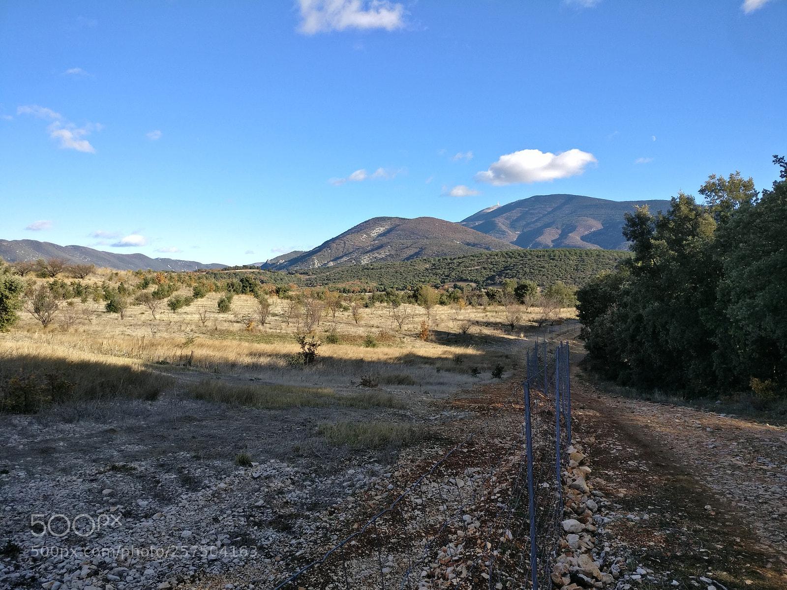 OnePlus A3003 sample photo. Img_20171126_144504.jpg photography