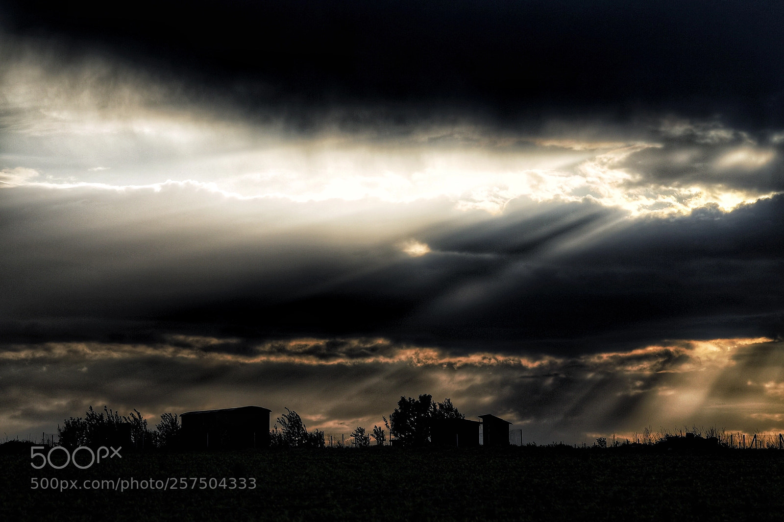 Canon EOS 5D Mark IV sample photo. Rise up photography