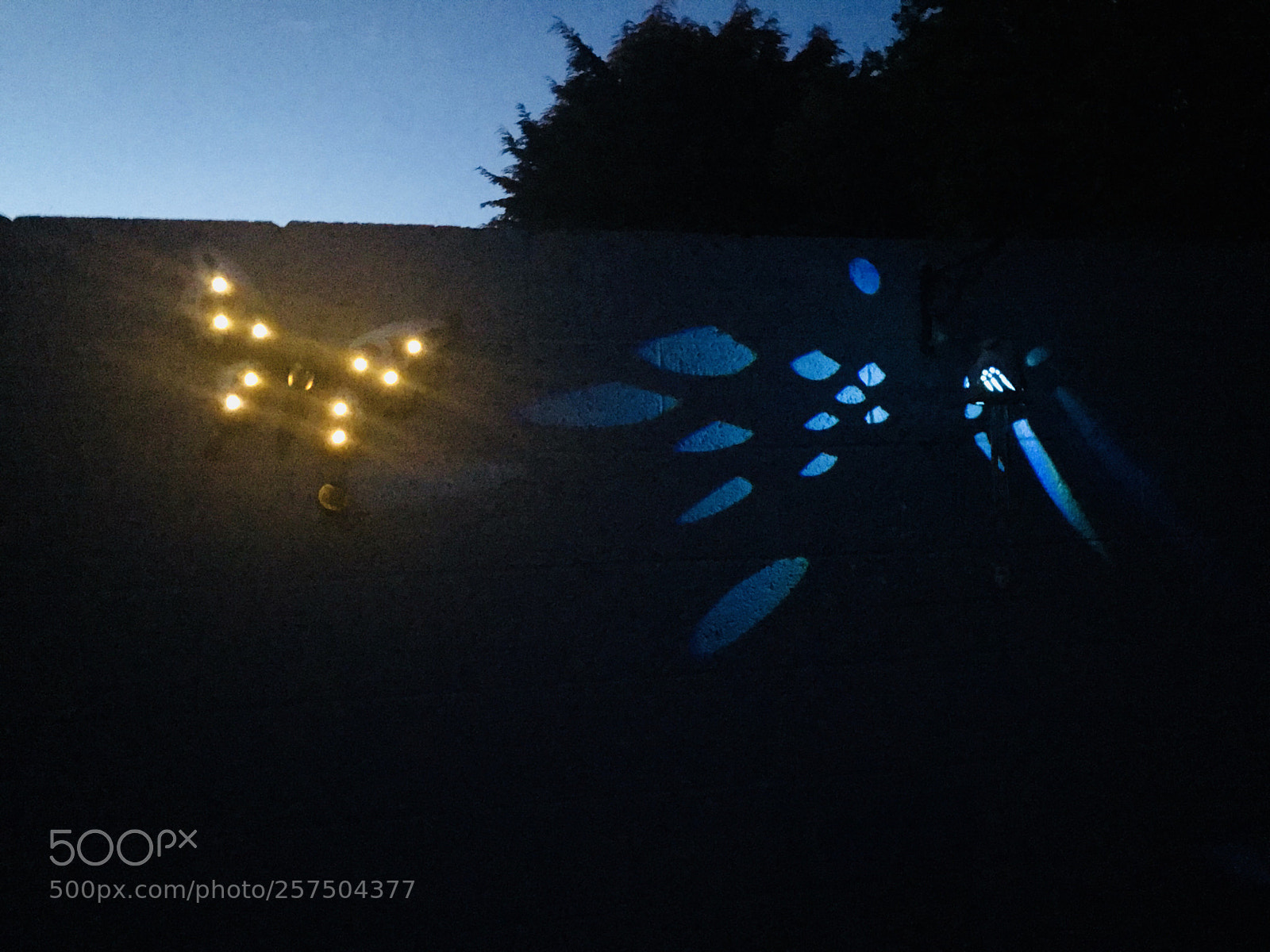 Apple iPhone 7 sample photo. Garden wall  photography