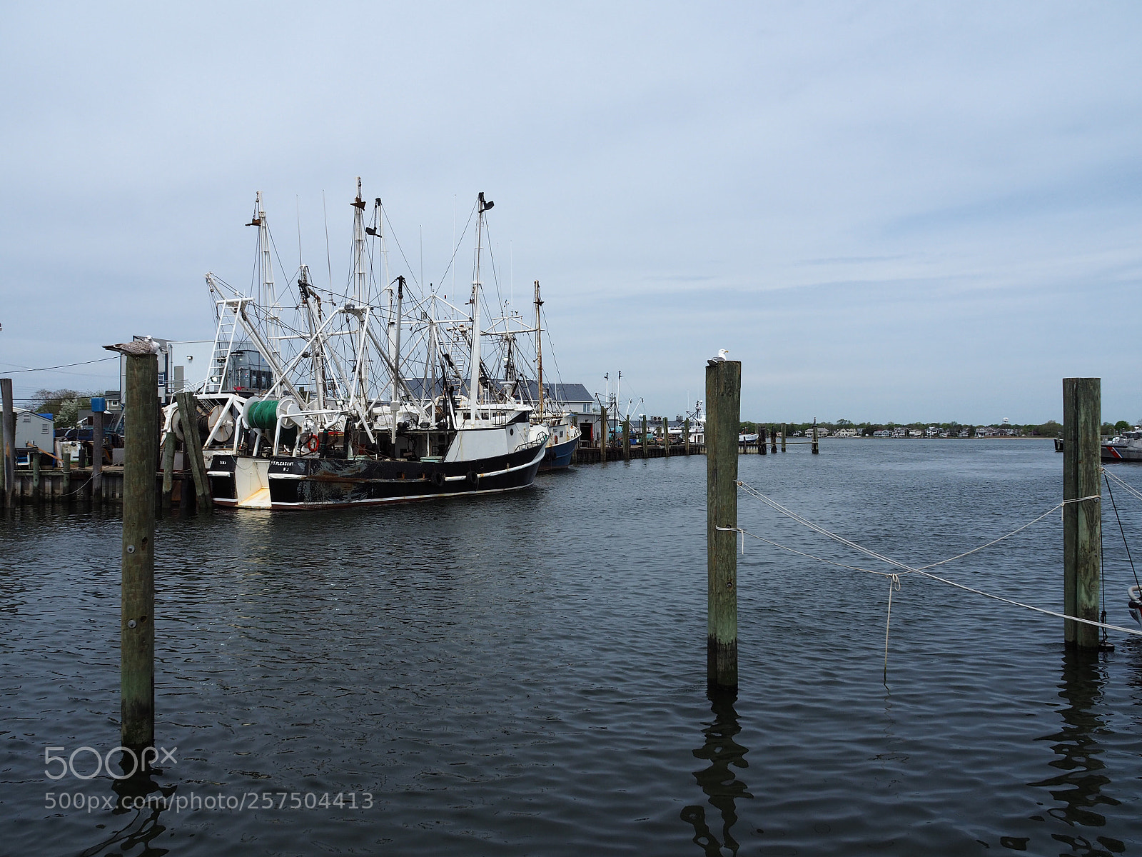 Olympus OM-D E-M10 II sample photo. The smart fishing boats photography