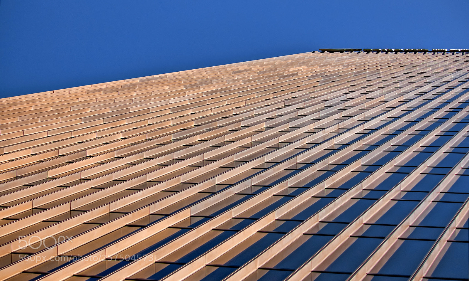 Canon EOS 70D sample photo. Up or down photography