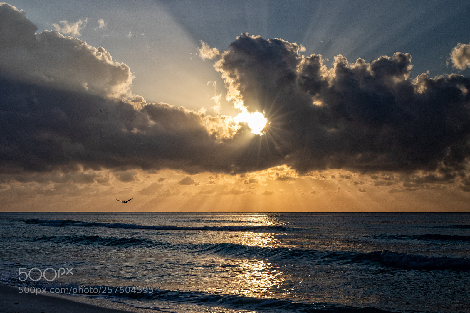 Canon EOS 7D Mark II sample photo. Sunrise on the gulf photography