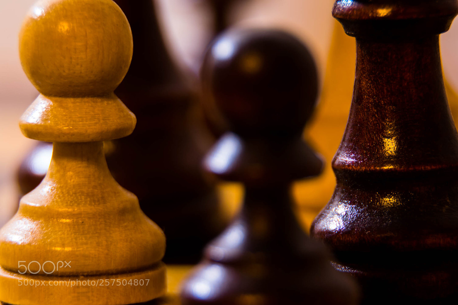 Nikon D5300 sample photo. Pawns in the game photography