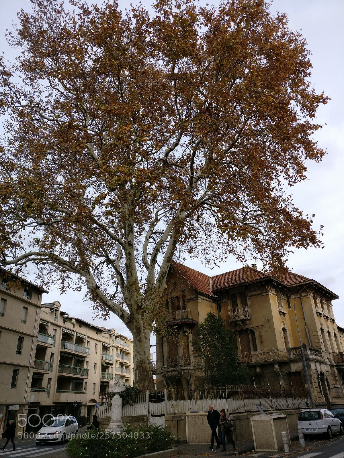 OnePlus A3003 sample photo. Img_20171123_133413.jpg photography