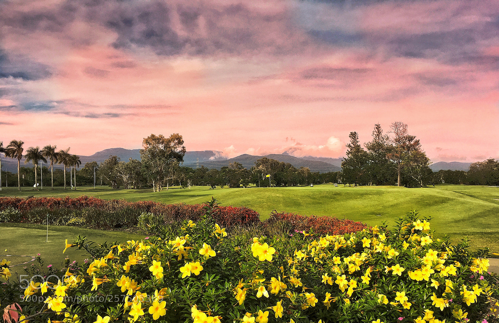 Apple iPhone 6s sample photo. Golf photography