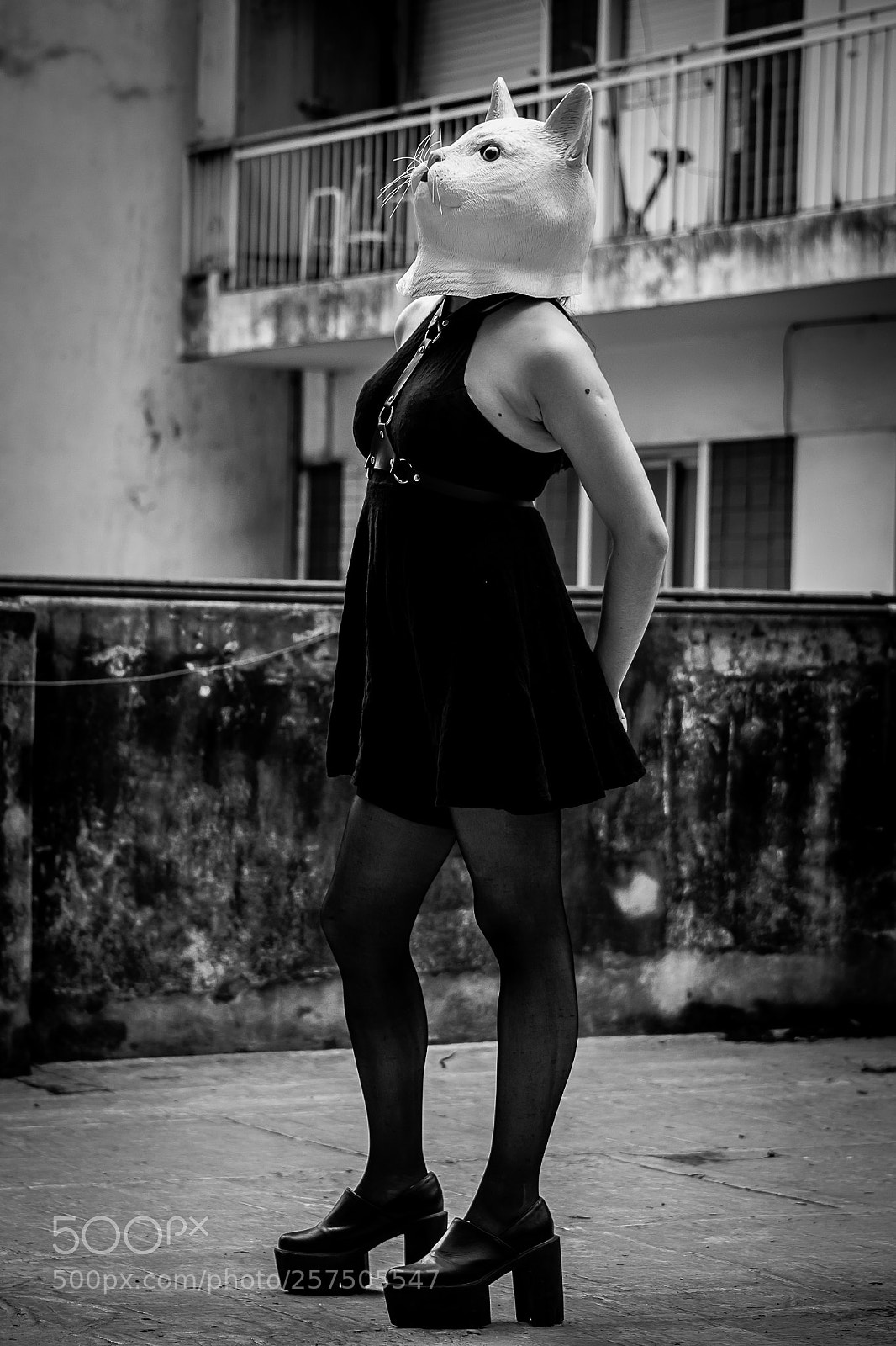 Nikon D3100 sample photo. Julia photography