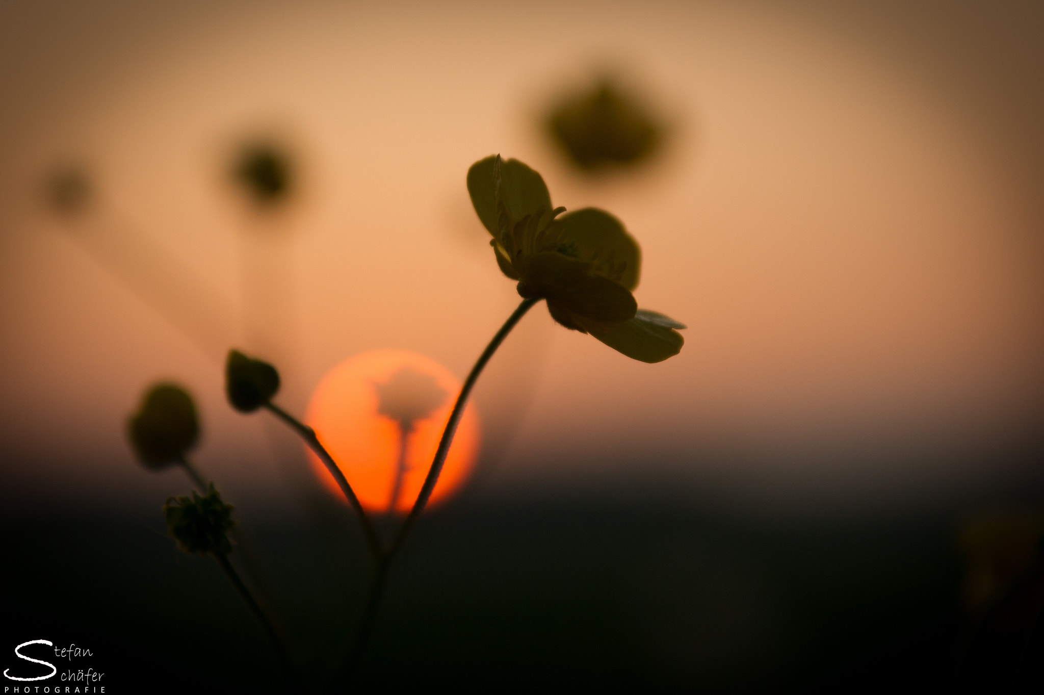 Sony Alpha DSLR-A550 sample photo. Sunset window photography