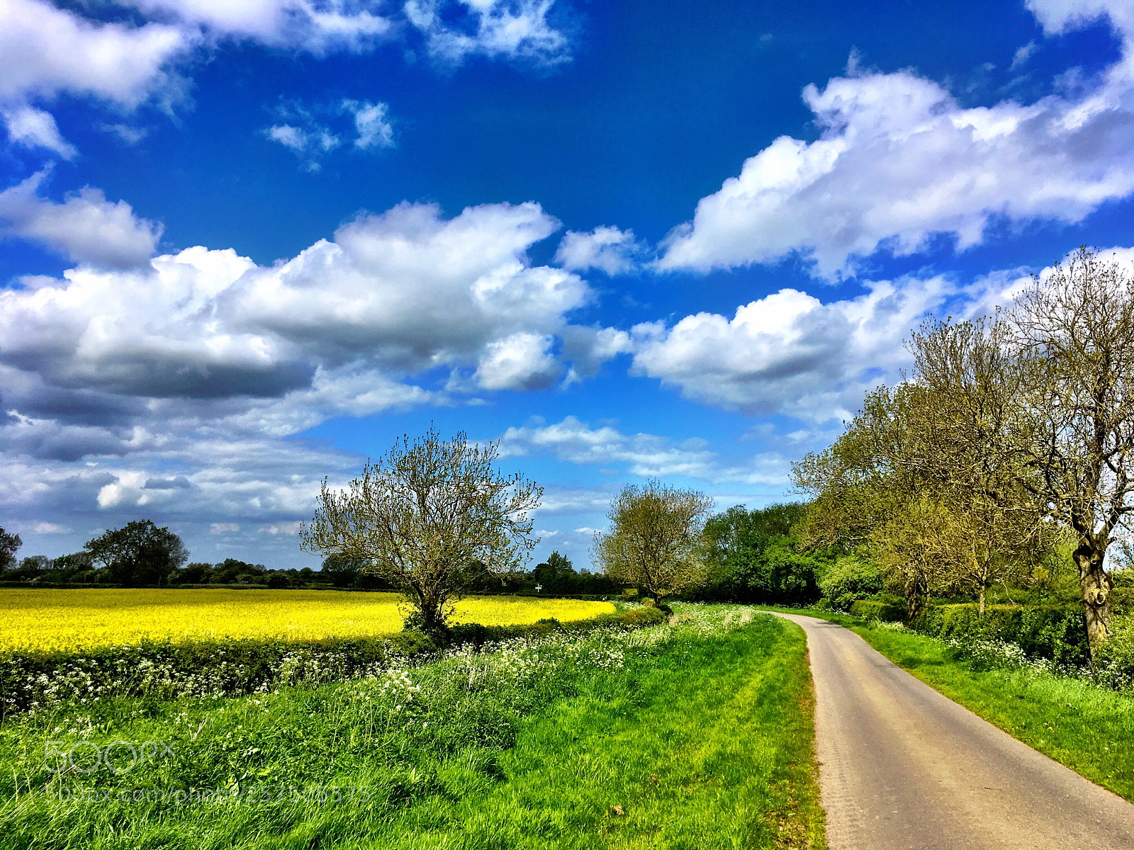 Apple iPhone SE sample photo. English countryside photography