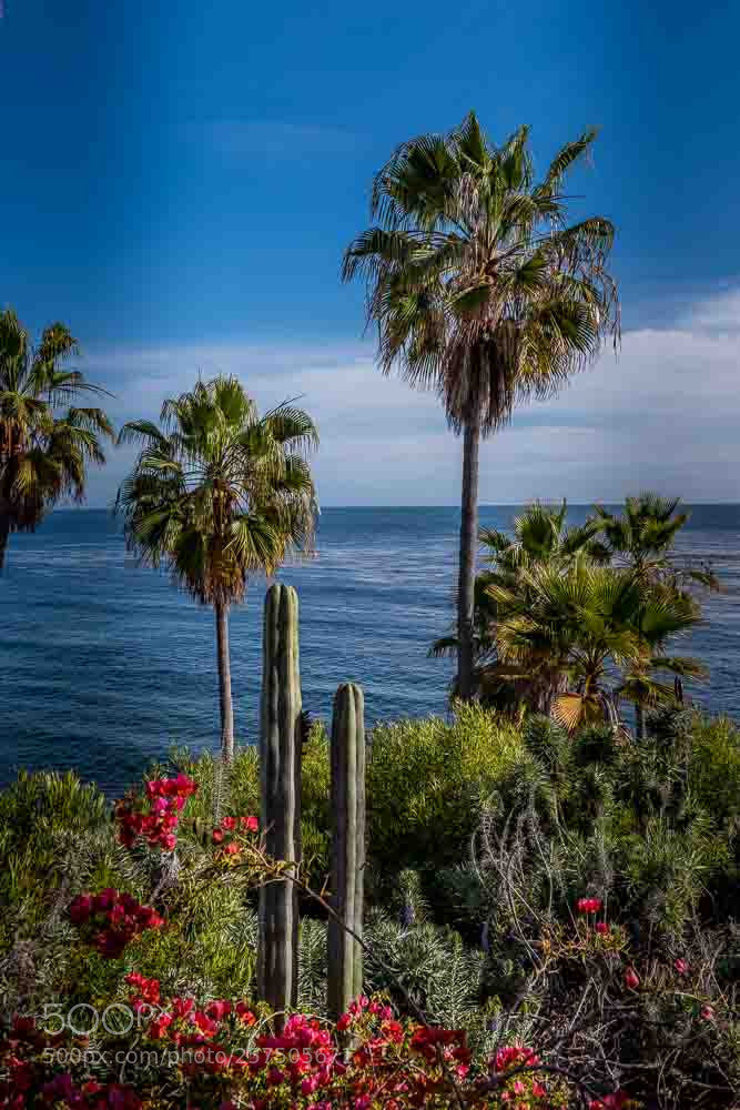 Nikon D810 sample photo. Wilderness of laguna photography