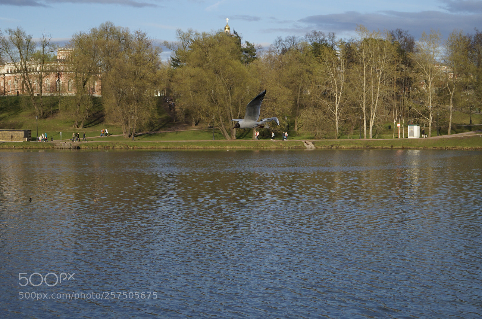 Sony SLT-A57 sample photo. Untitled photography