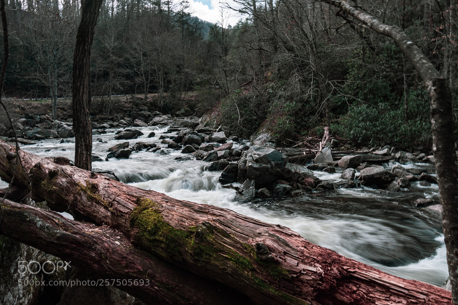Nikon D7200 sample photo. Peaceful flow photography