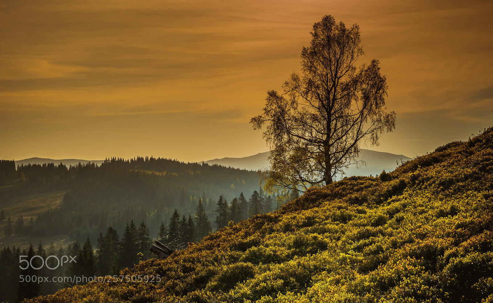 Sony a7 II sample photo. Sunrise photography