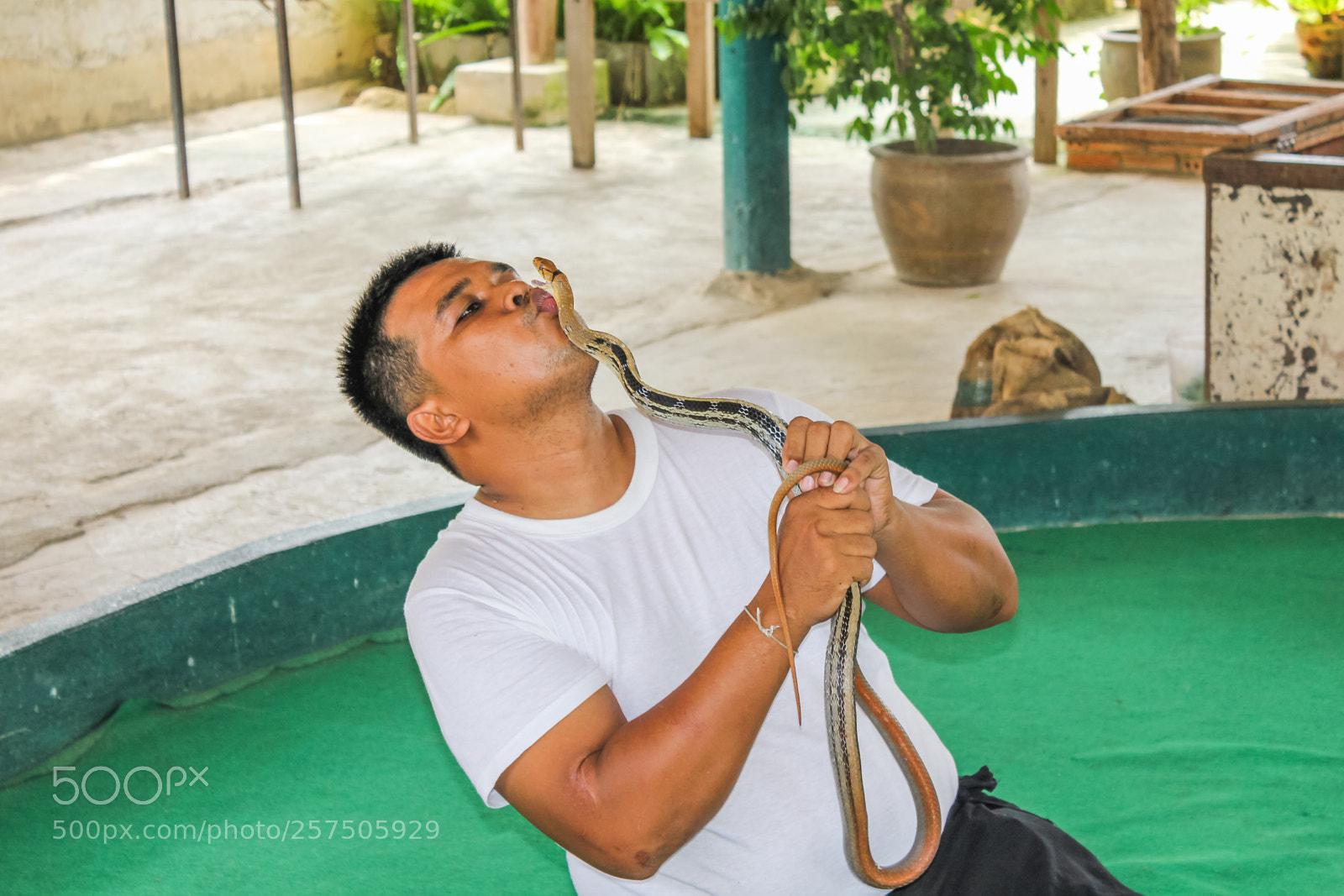 Canon EOS 550D (EOS Rebel T2i / EOS Kiss X4) sample photo. Snake trainer photography