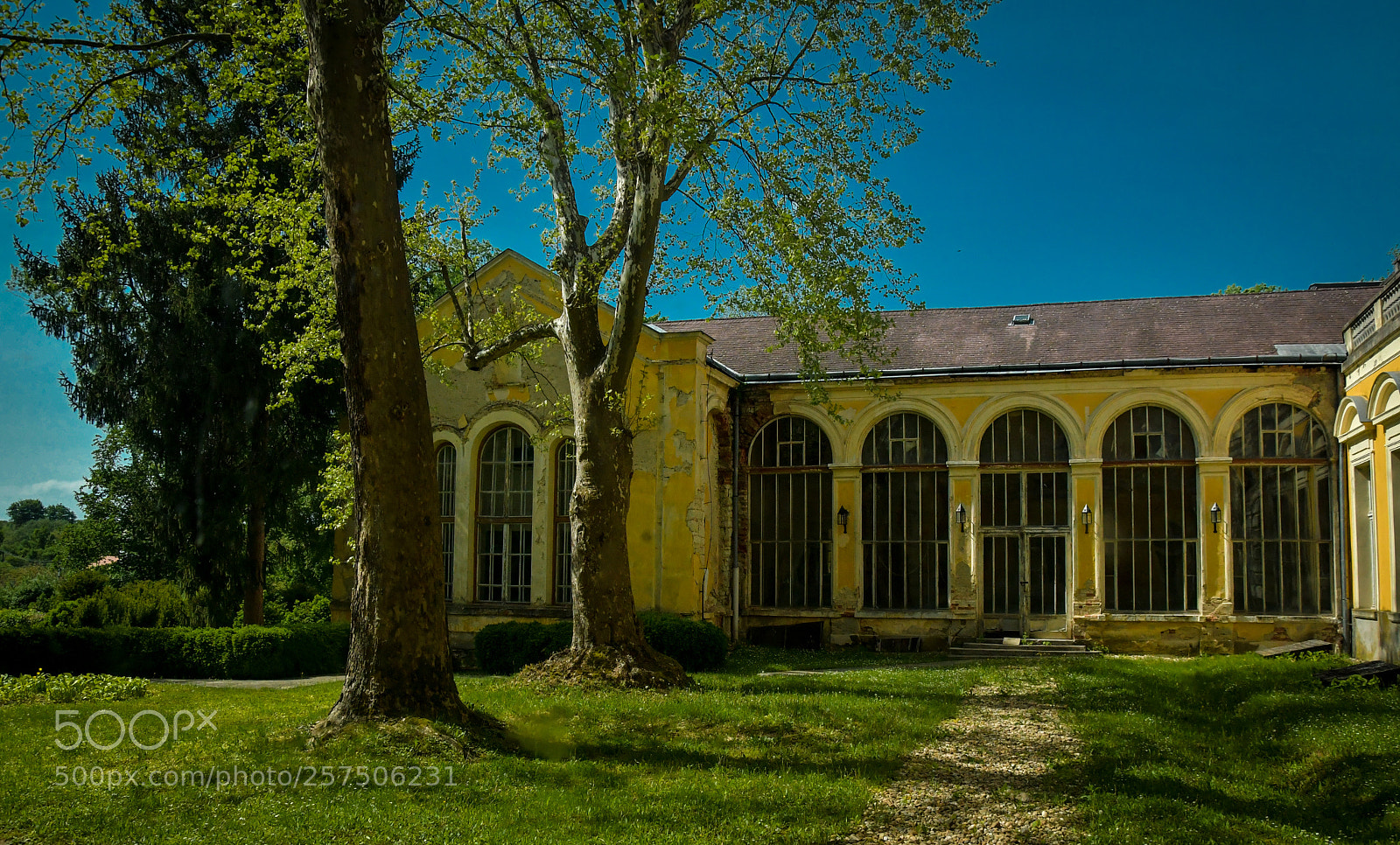 Nikon D7500 sample photo. Untitled photography