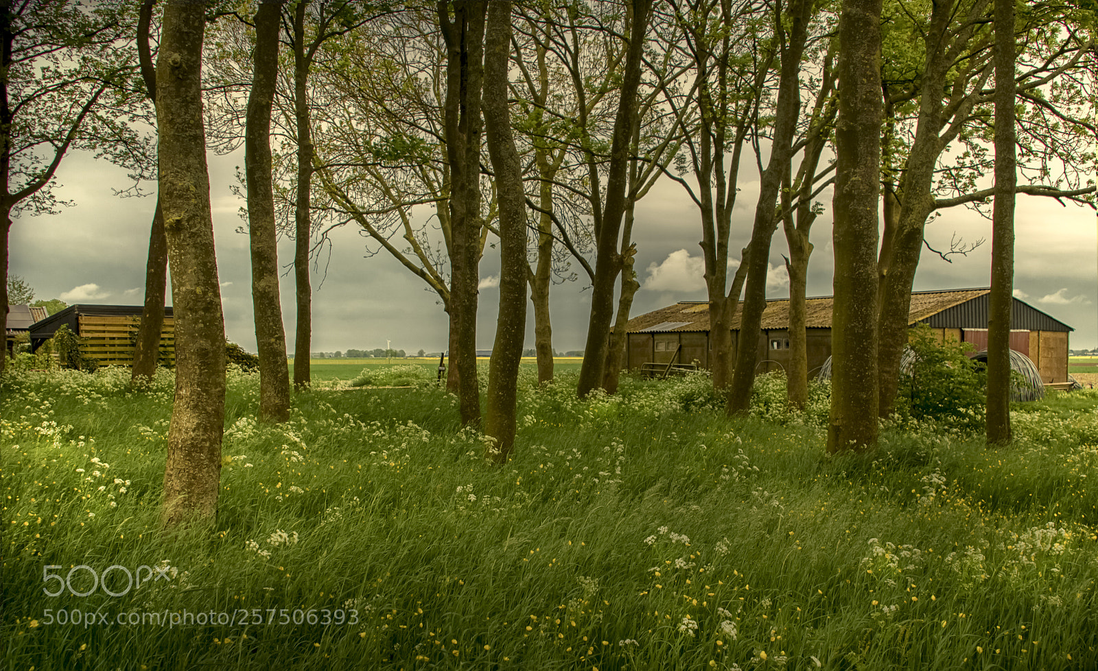 Nikon D5100 sample photo. Springtime in the country! photography