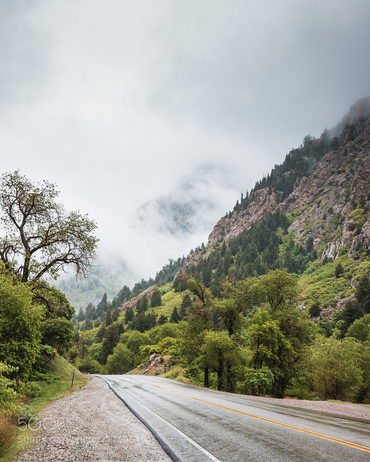 Canon EOS 6D Mark II sample photo. Fog in big cottonwood photography