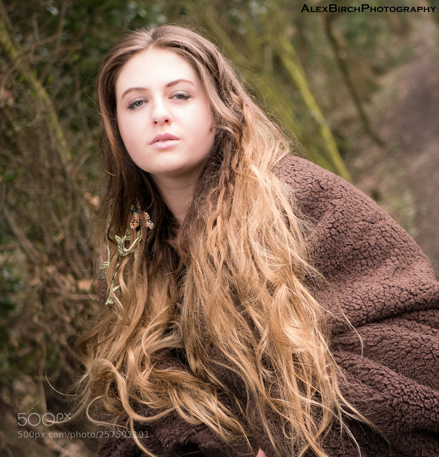 Panasonic Lumix DMC-G7 sample photo. Lady of the forest photography