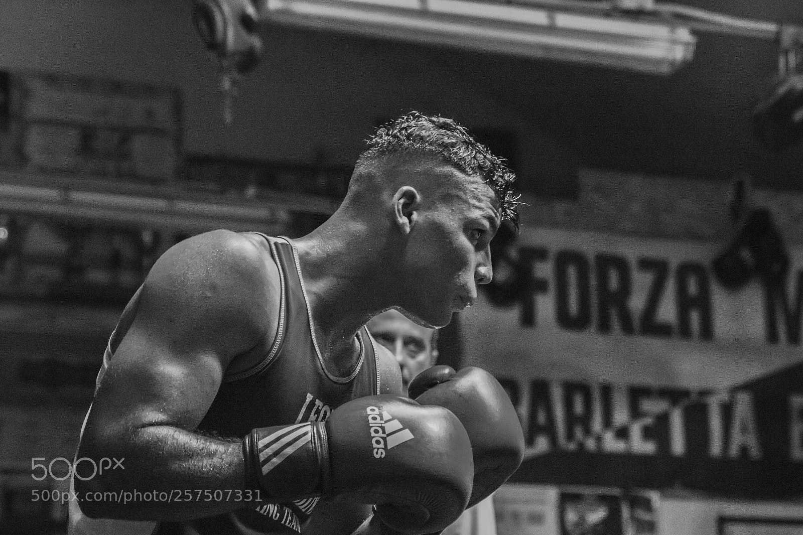 Canon EOS 7D Mark II sample photo. The champion photography