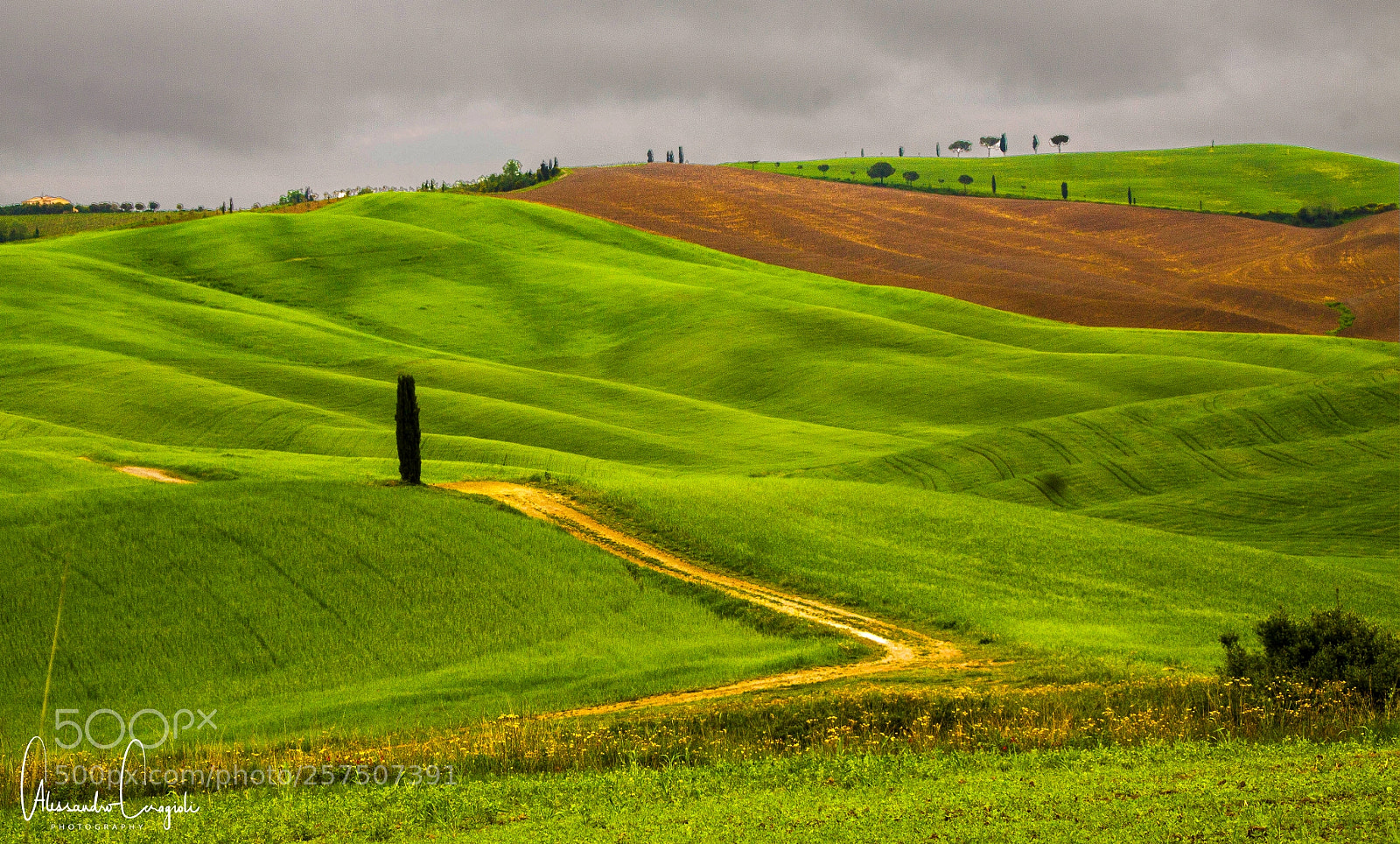 Canon EOS 50D sample photo. La toscana in una photography