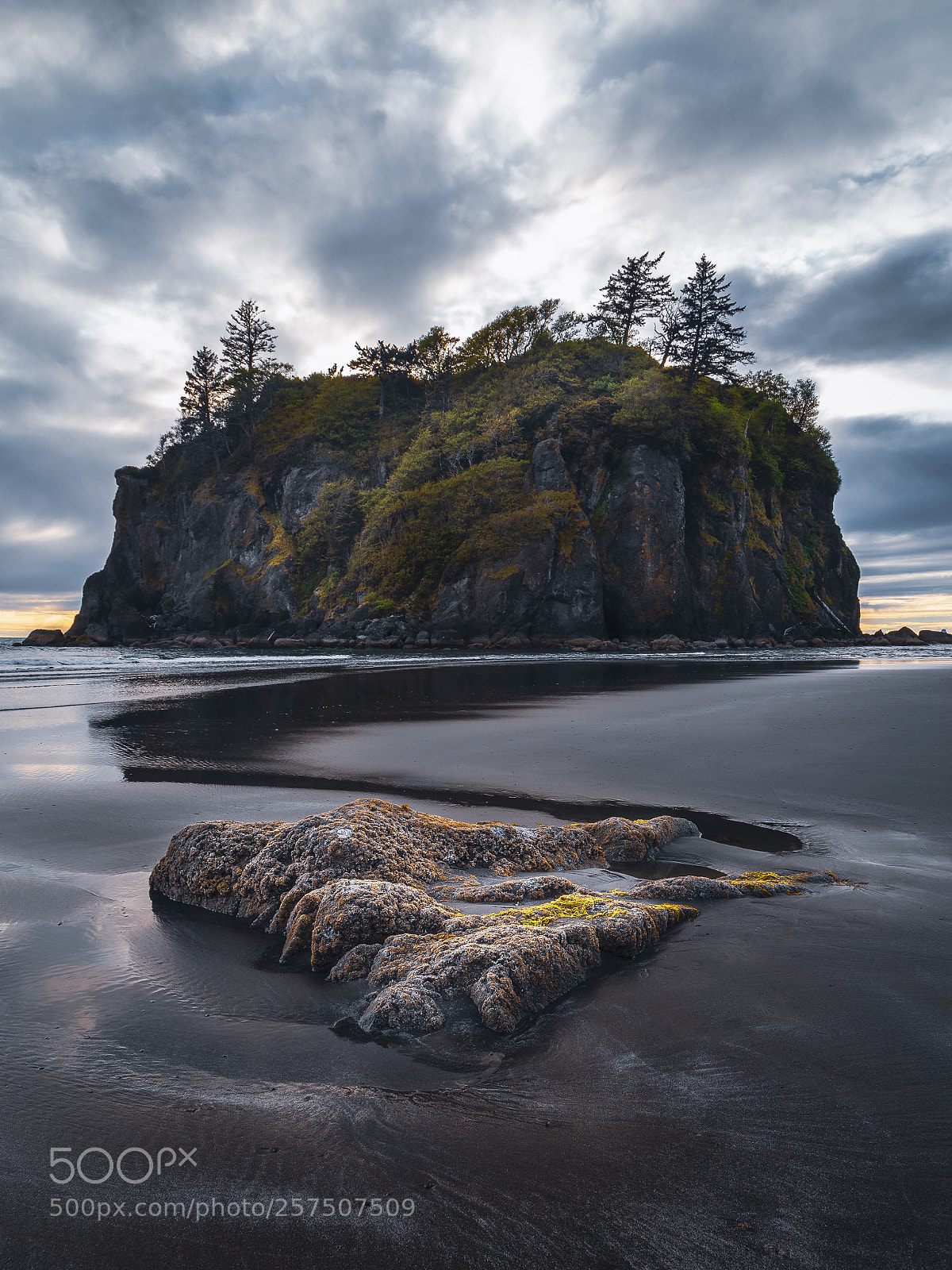 Canon EOS 6D sample photo. Ruby beach photography