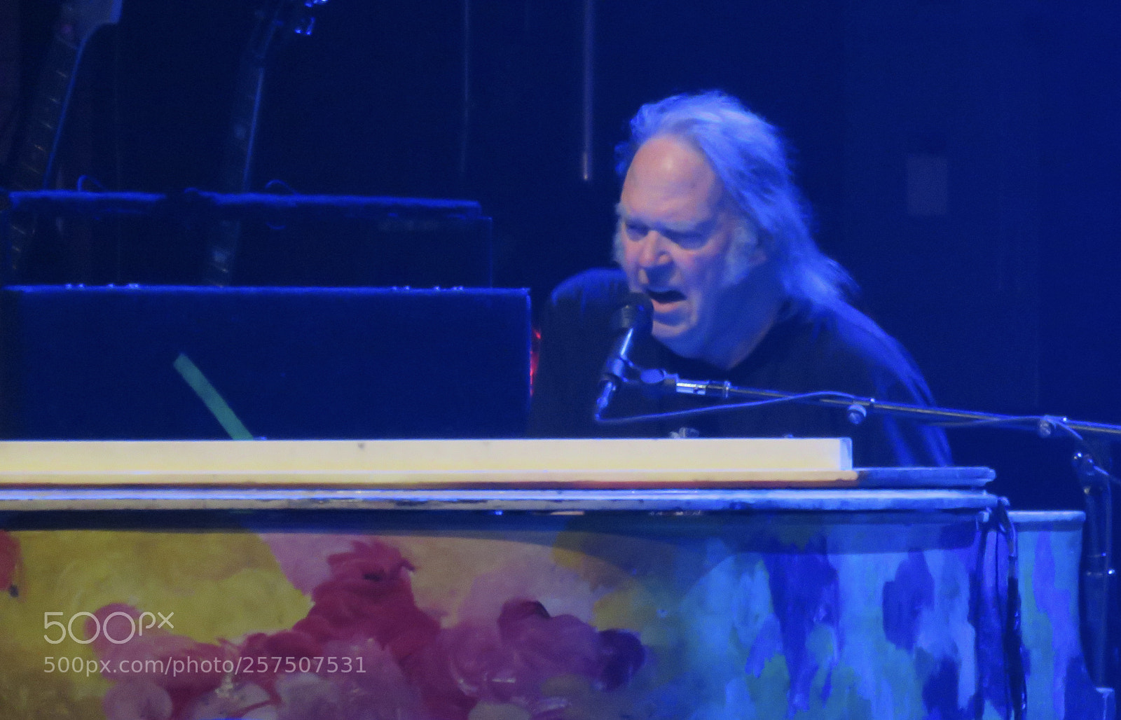 Canon PowerShot SX60 HS sample photo. Neil young 2 photography
