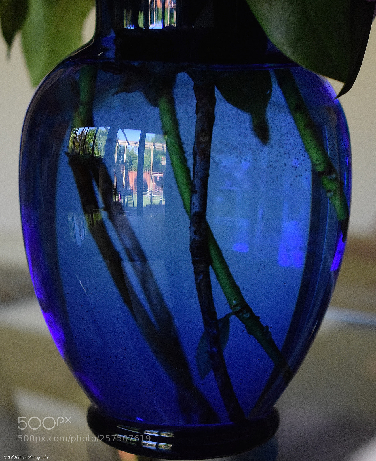 Nikon D3300 sample photo. Reflection on a blue photography