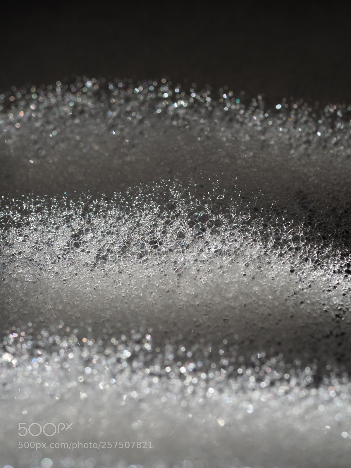 Olympus OM-D E-M1 Mark II sample photo. Bubble bokeh photography