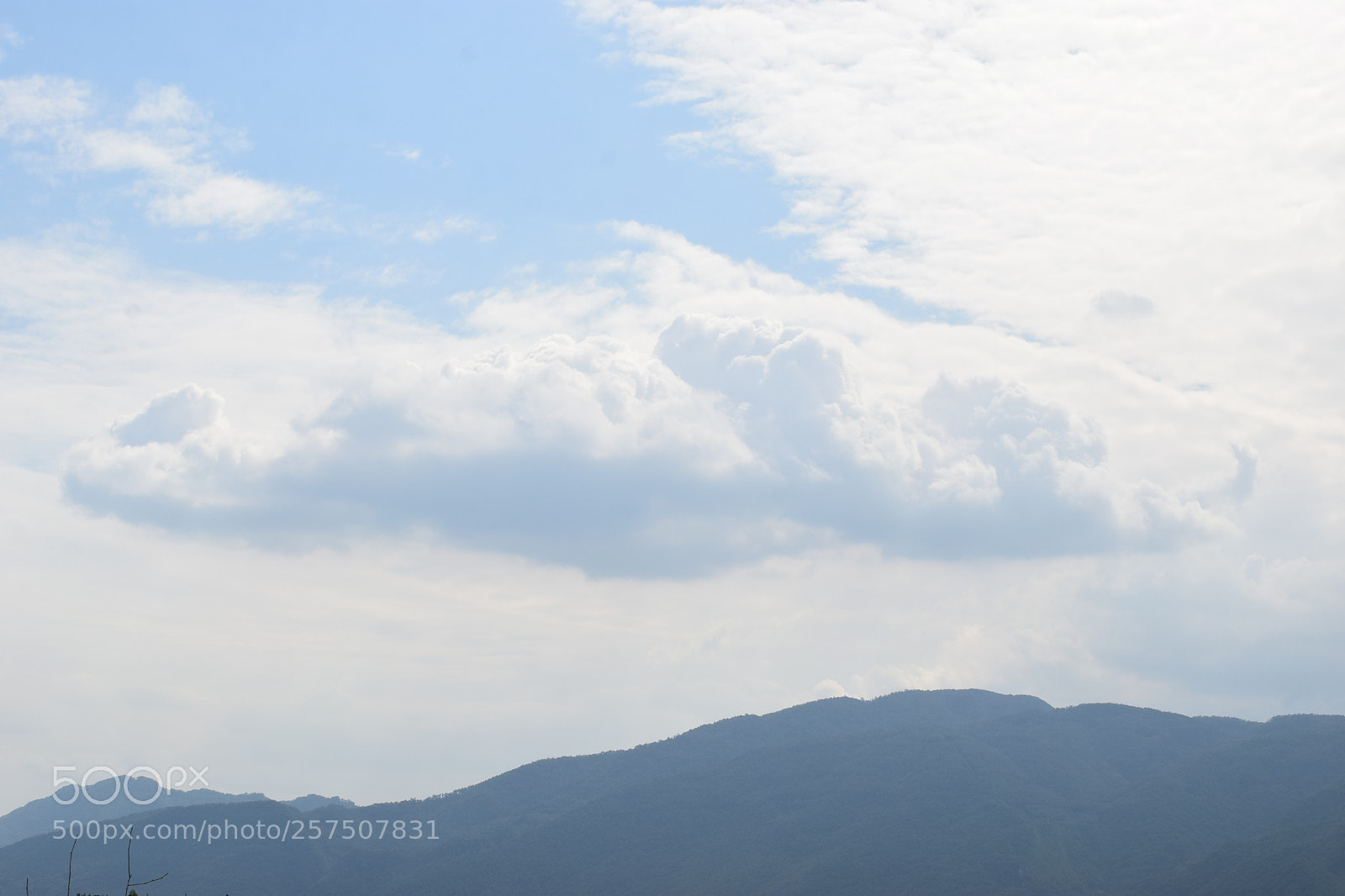 Nikon D5300 sample photo. Untitled photography