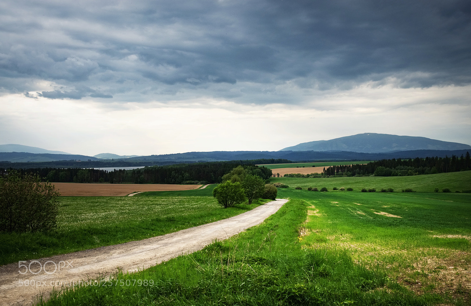 Nikon D5500 sample photo. Way down a landscape photography