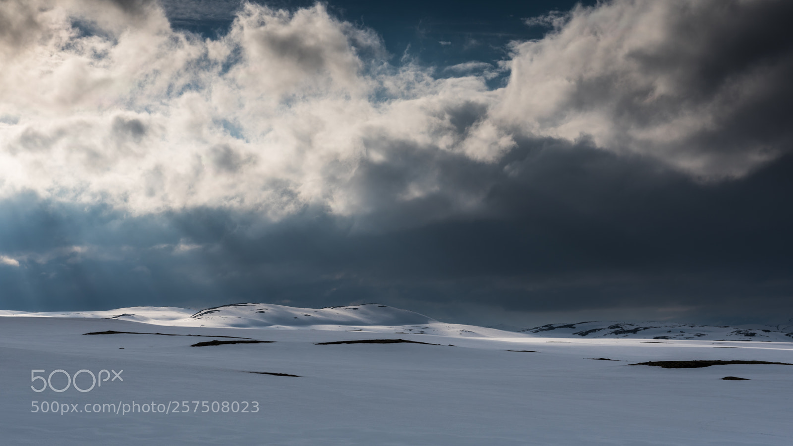 Nikon D750 sample photo. May in the mountains photography