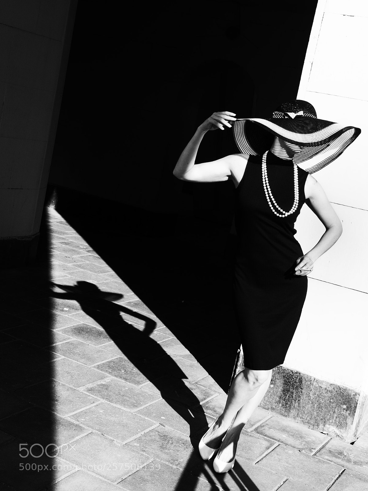 Olympus OM-D E-M1 sample photo. In vogue style photography
