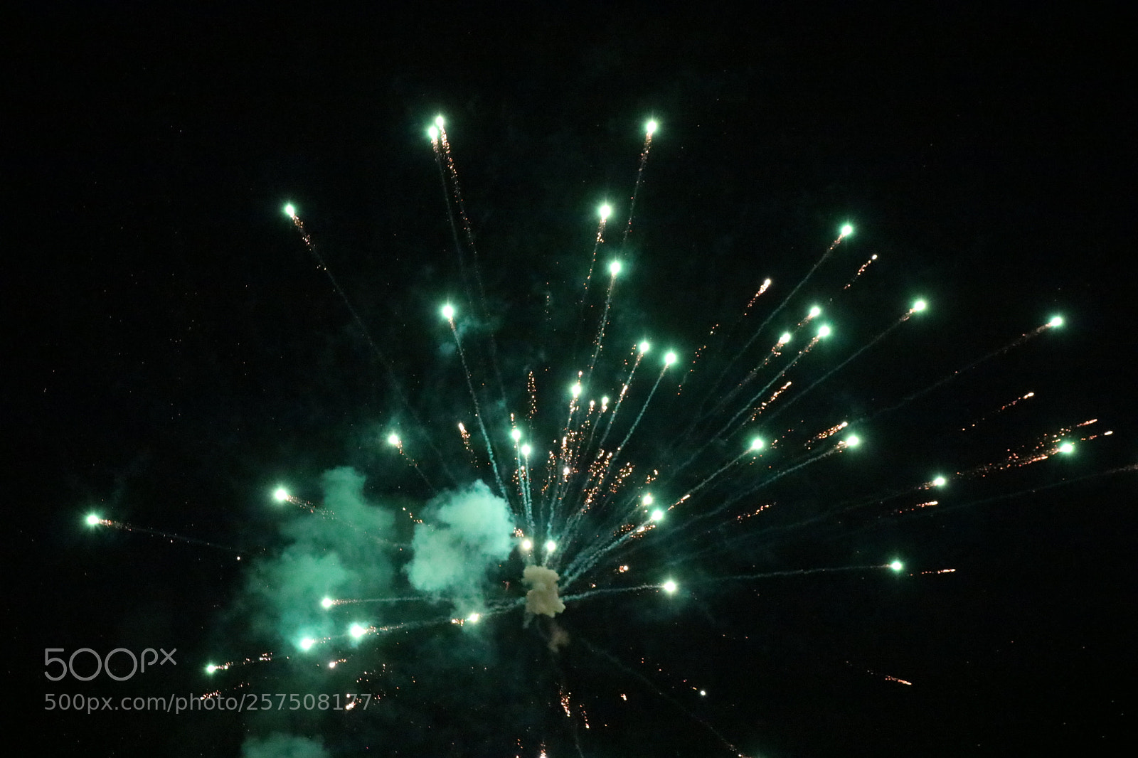 Canon EOS 750D (EOS Rebel T6i / EOS Kiss X8i) sample photo. Green fireworks in the photography