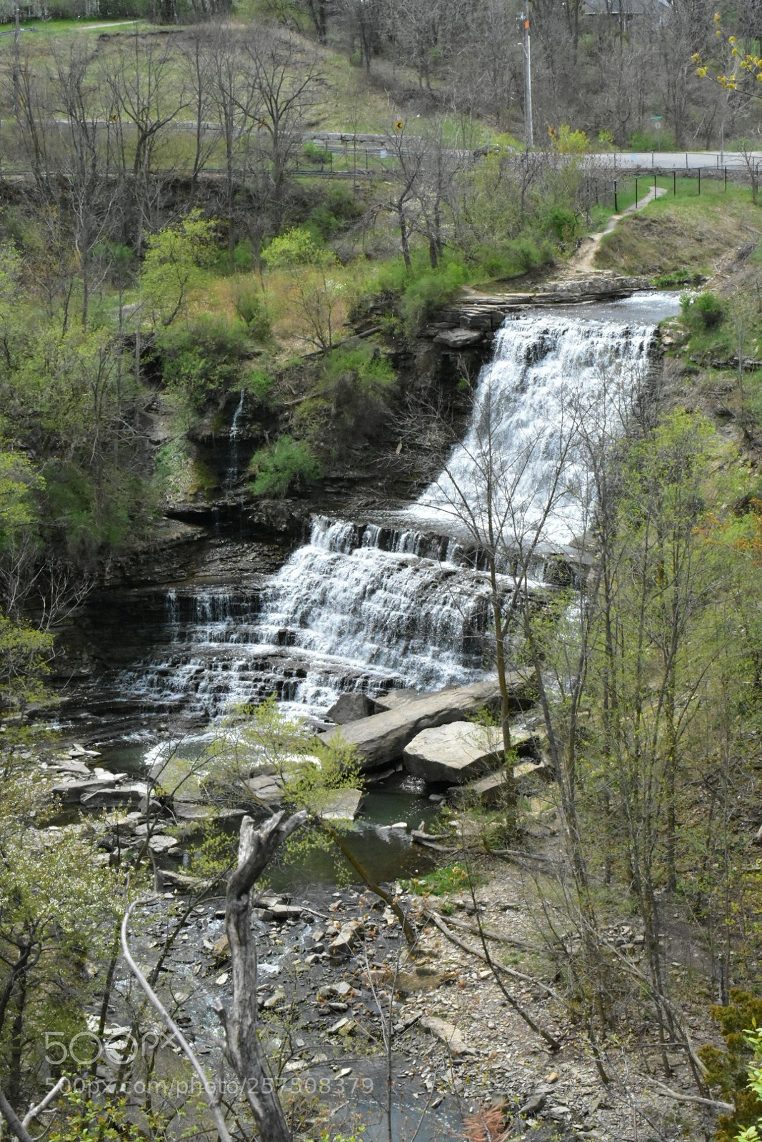 Nikon D3400 sample photo. Untitled photography