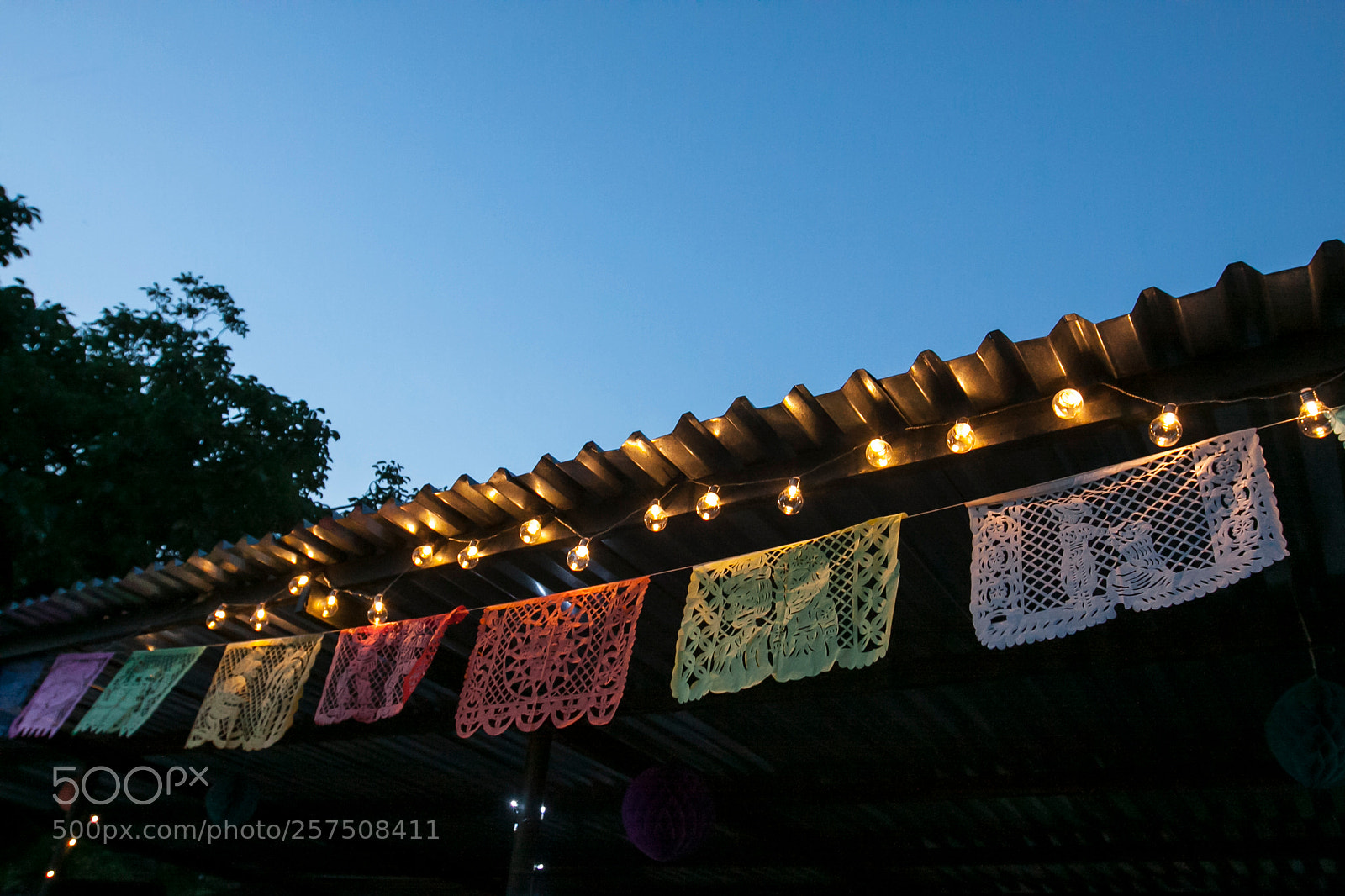Canon EOS 50D sample photo. Img photography