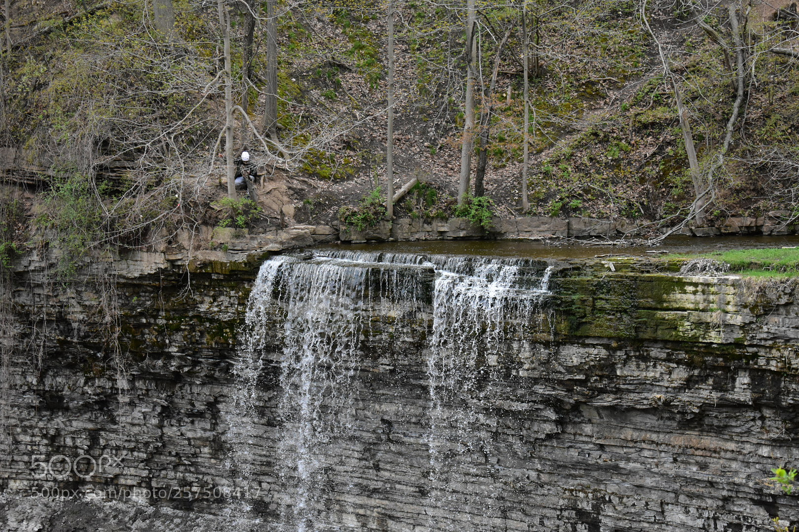 Nikon D3400 sample photo. Untitled photography
