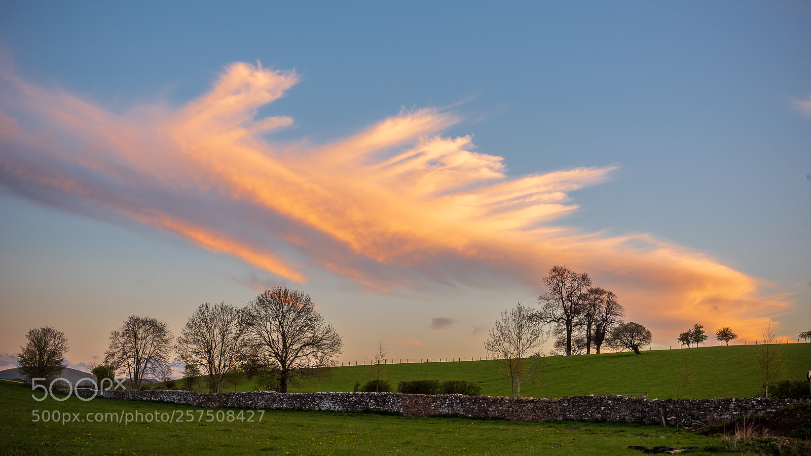 Nikon D810 sample photo. Stripe photography