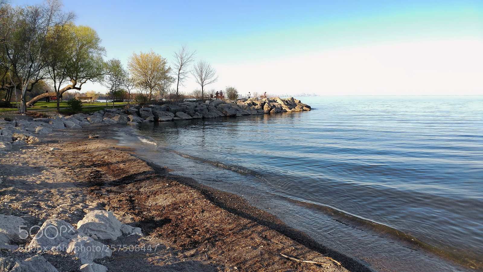 LG G5 sample photo. Afternoon  delight photography