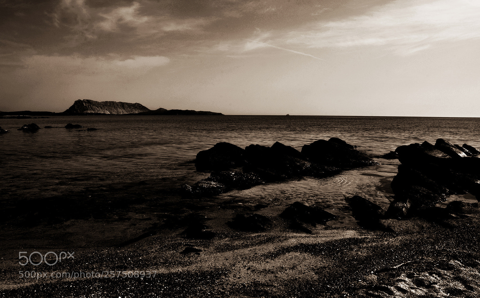 Nikon D5100 sample photo. A photography