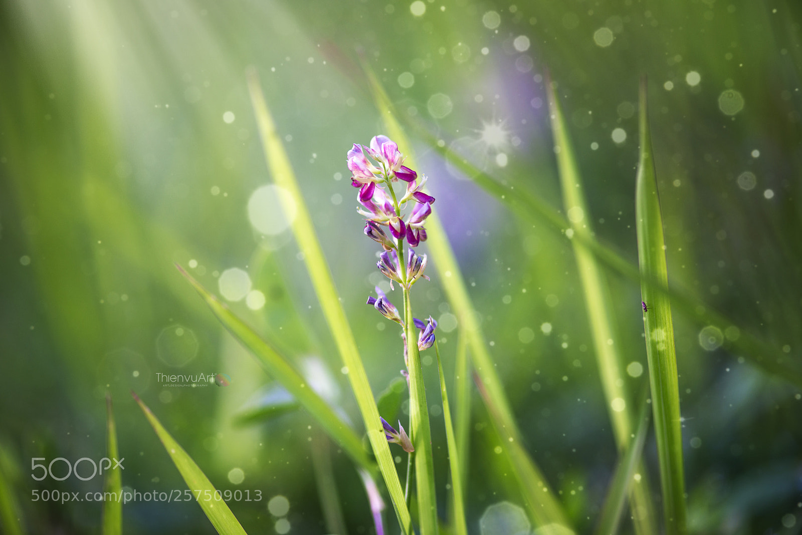 Nikon D800 sample photo. Lanscape photography