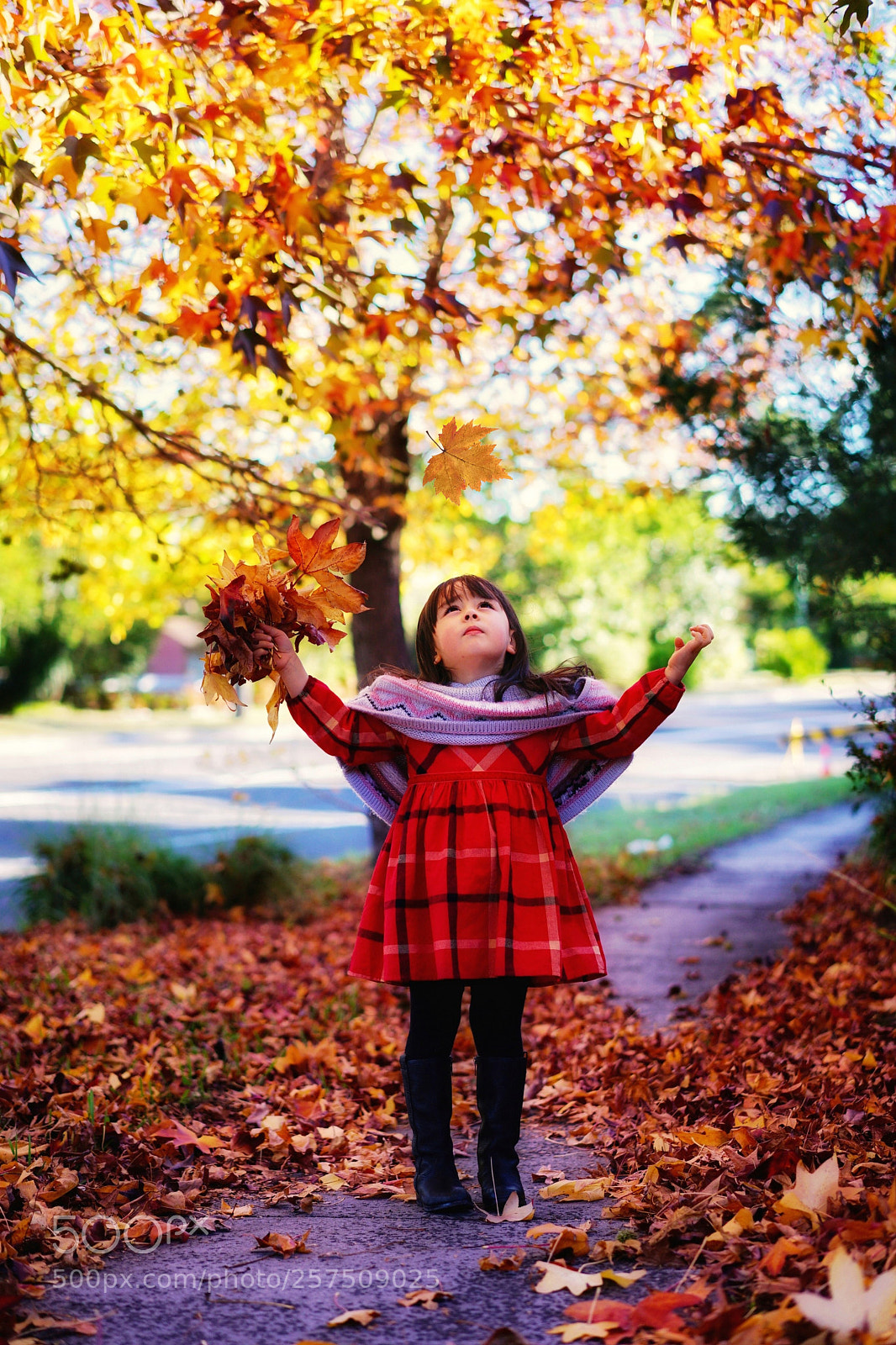 Sony a7 II sample photo. Autumn photography
