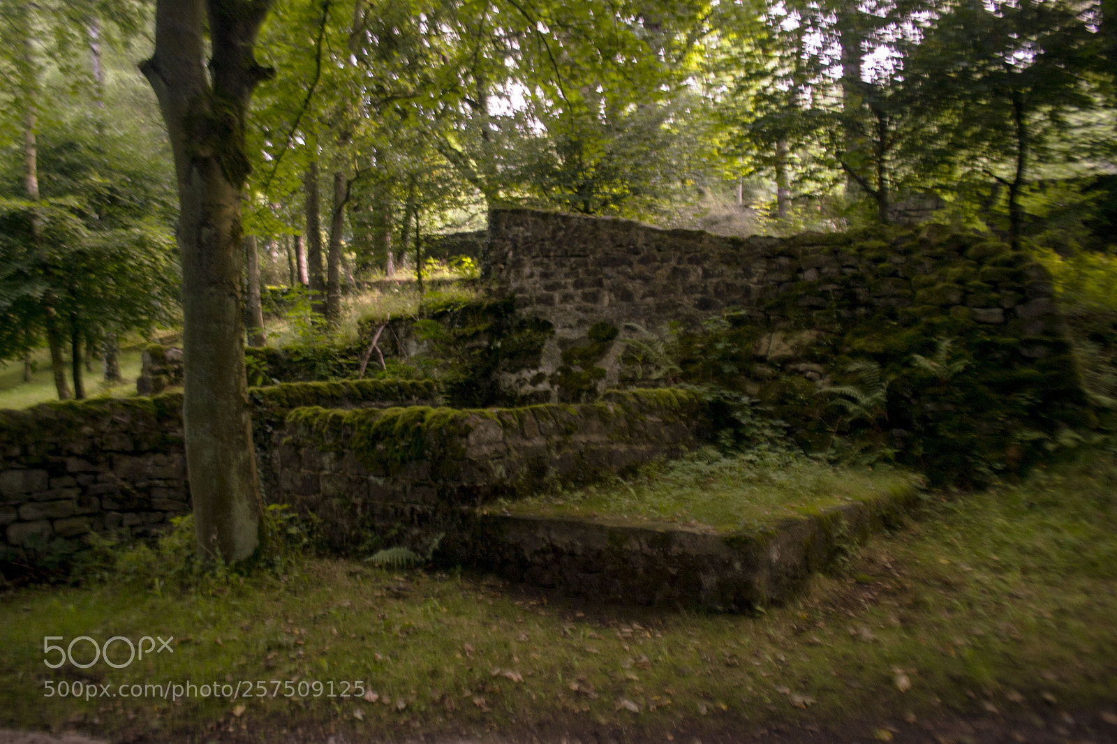 Nikon D3100 sample photo. Building in the woods photography