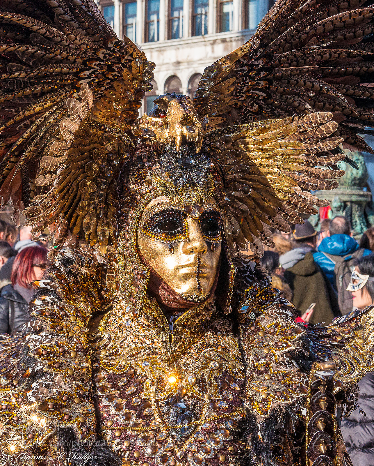 Nikon D800E sample photo. Bird mask photography