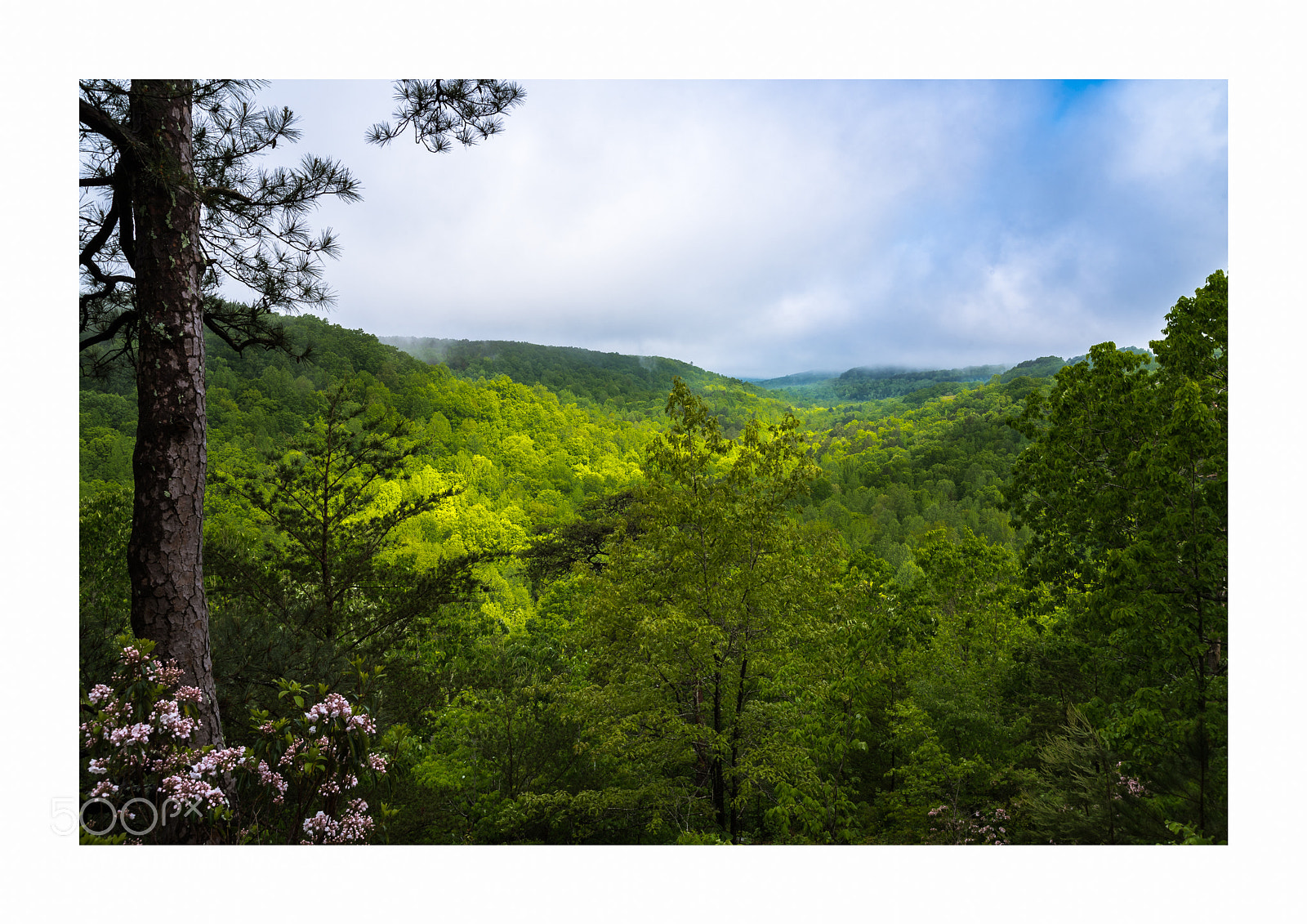 Nikon D750 sample photo. Untitled photography