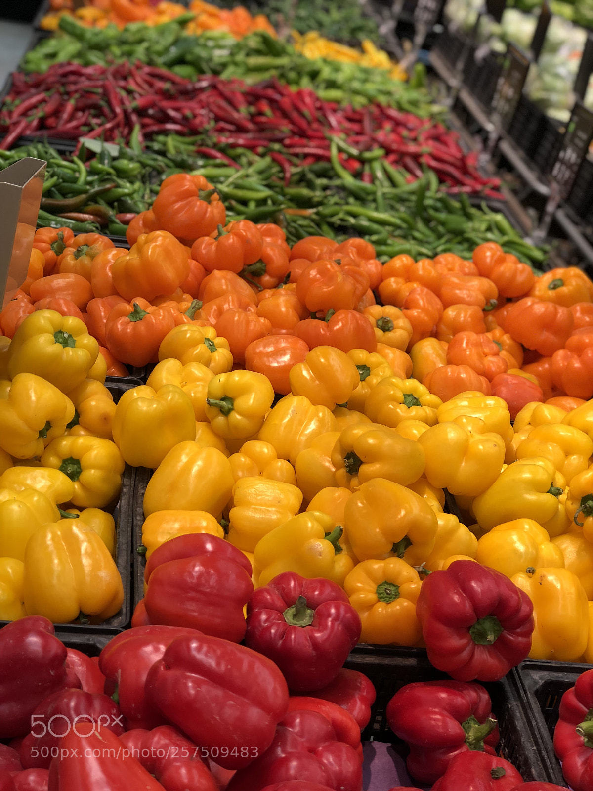 Apple iPhone 8 Plus sample photo. Colory peppers  photography