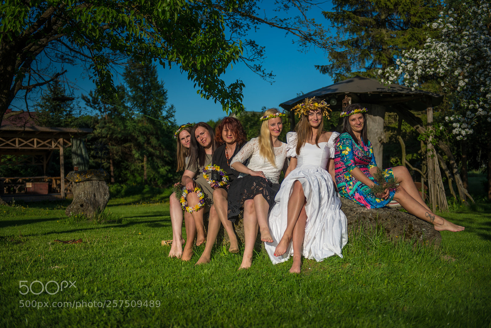 Nikon D610 sample photo. Untitled photography