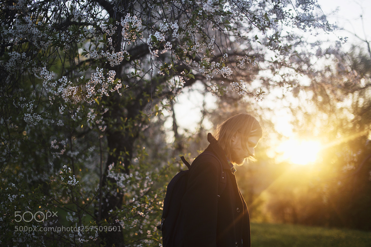 Canon EOS 6D sample photo. Kk photography