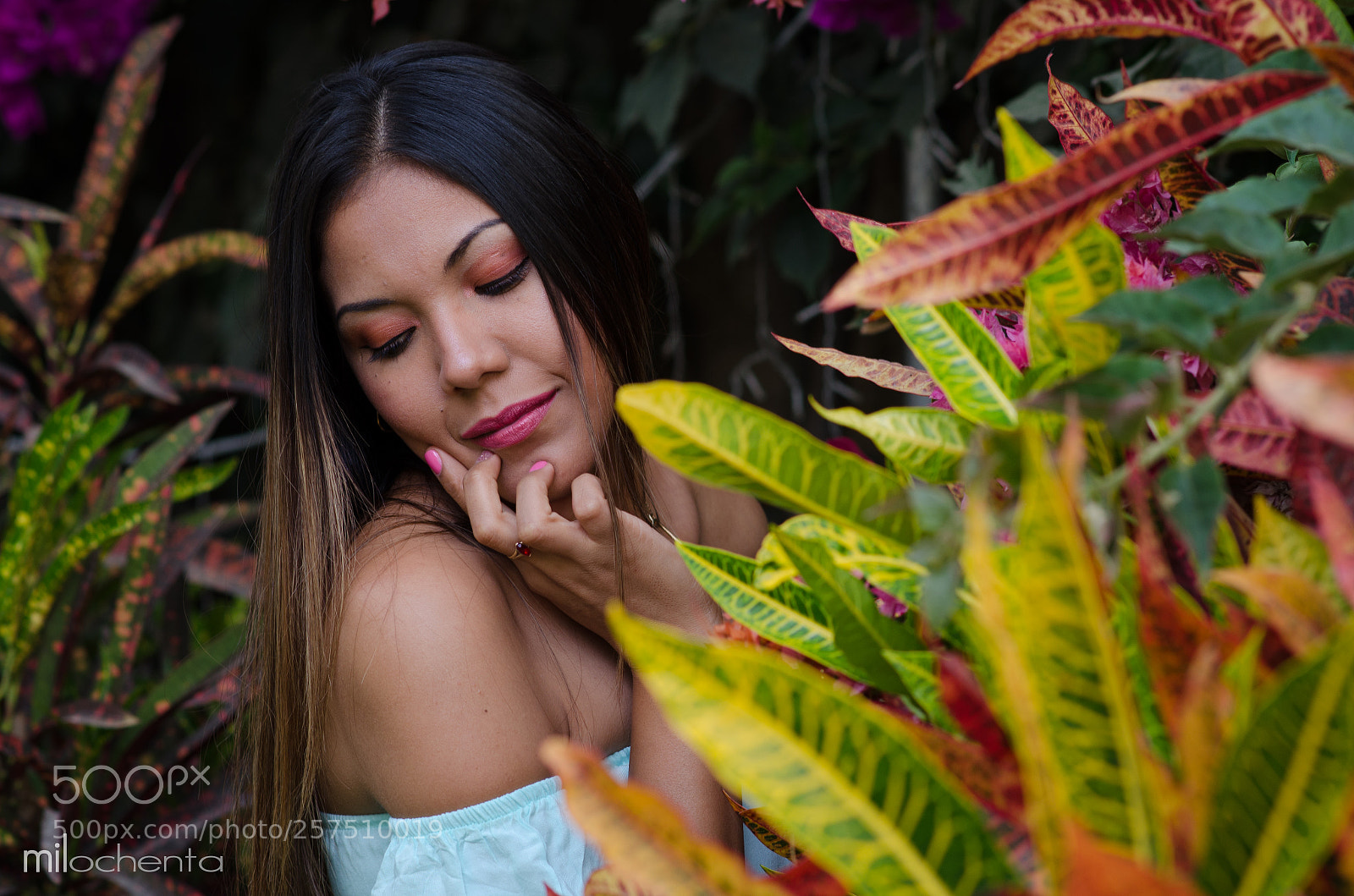 Nikon D5100 sample photo. Among the plants photography