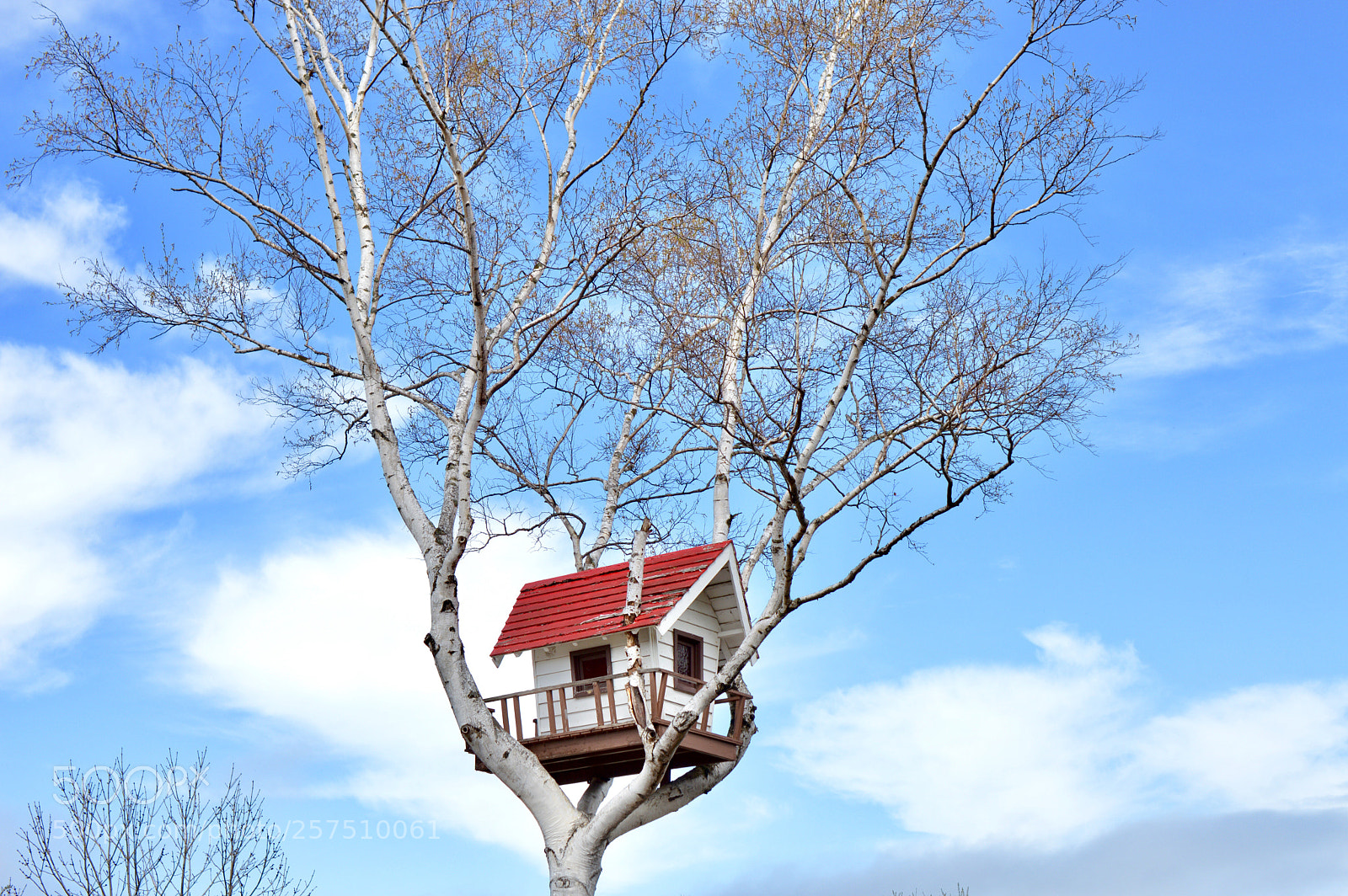 Nikon D3200 sample photo. Tree house ✿･ﾟ:✲ ♪ photography