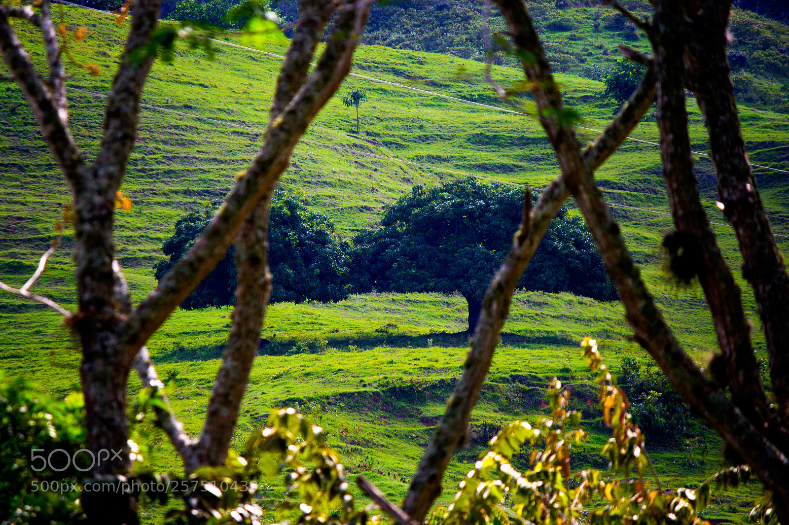 Canon EOS 700D (EOS Rebel T5i / EOS Kiss X7i) sample photo. Una buena sombra! photography