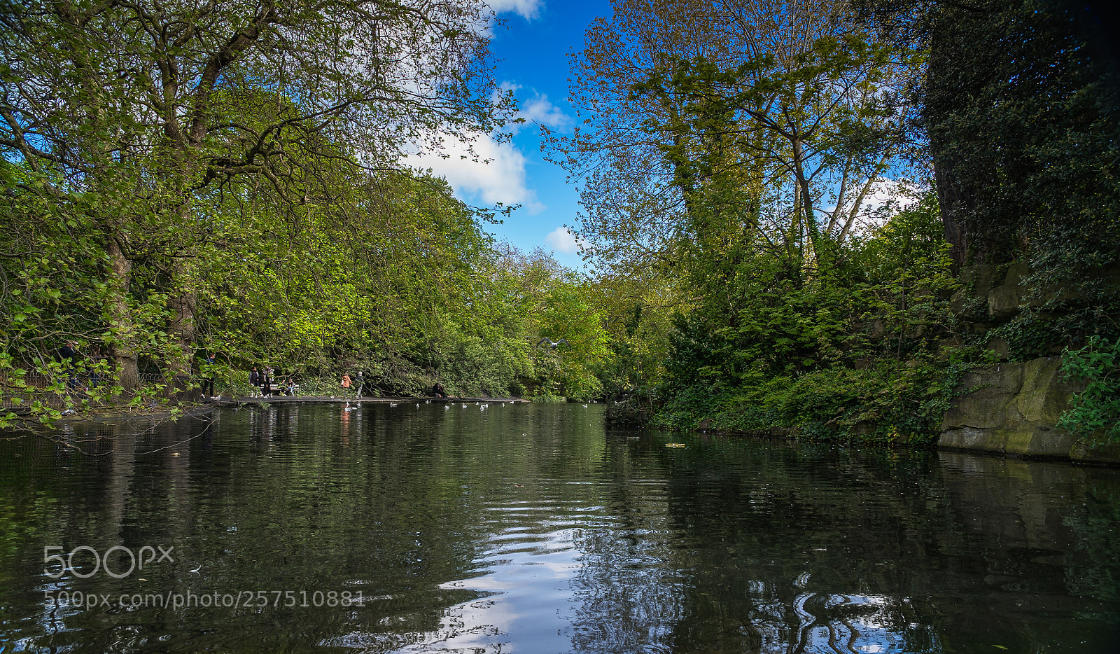 Sony a7 sample photo. Park photography